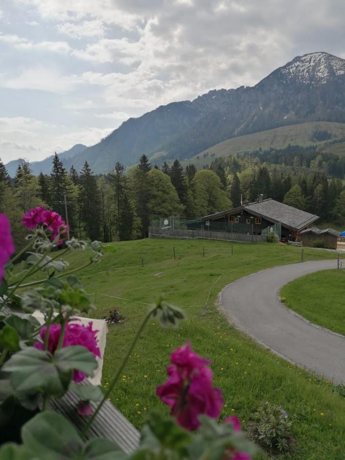 Aparthotel Haus Obweg - Postalm à Hallein Extérieur photo
