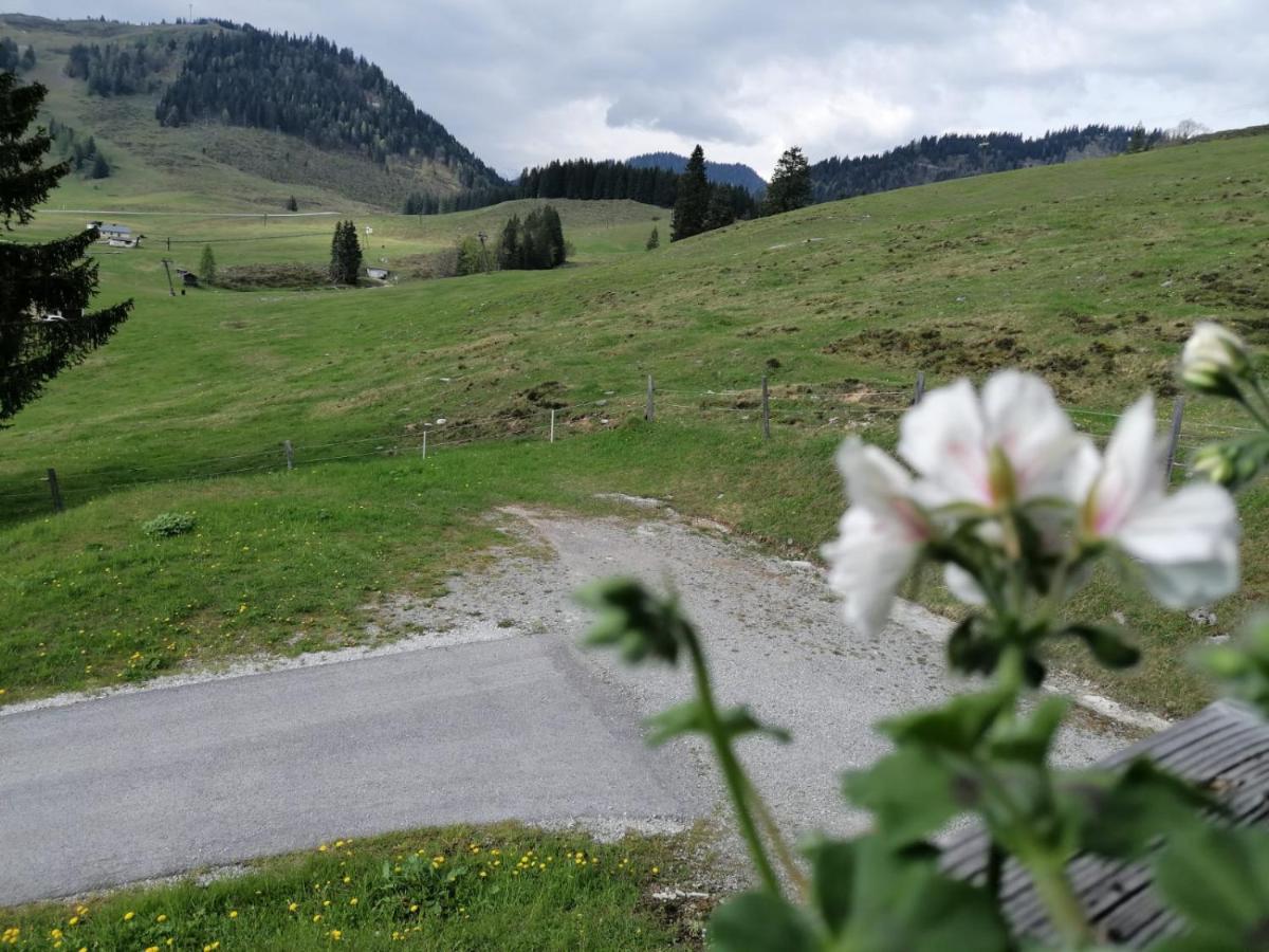 Aparthotel Haus Obweg - Postalm à Hallein Extérieur photo
